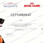 Сертификат Ветеринар Дерматолог